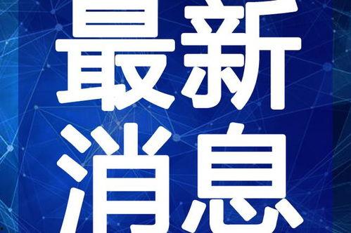 安丘洋柿子爆料视频最新,揭秘背后惊人真相