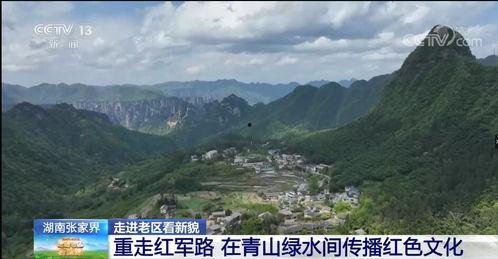 青山在线观看,探索网络世界的绿色之旅