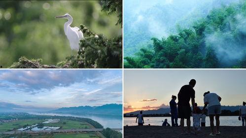 青山在线观看,探索网络世界的绿色之旅 第3张 青山在线观看,探索网络世界的绿色之旅 第3张