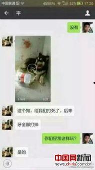 深圳男子爆料事件视频,事件真相揭秘