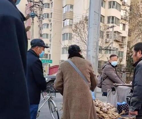 北京阿姨爆料视频大全集,揭秘京城生活点滴