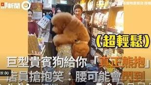 网友爆料狗熊视频下载,狗熊视频下载引发热议,揭秘下载背后的真相 第2张 网友爆料狗熊视频下载,狗熊视频下载引发热议,揭秘下载背后的真相 第2张