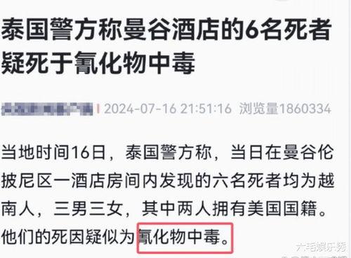 乐清网红事件最新爆料新闻,惊人内幕曝光,真相令人震惊! 第3张 乐清网红事件最新爆料新闻,惊人内幕曝光,真相令人震惊! 第3张