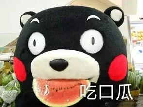 吃瓜音乐全部免费听,吃瓜音乐，免费畅听无拘束