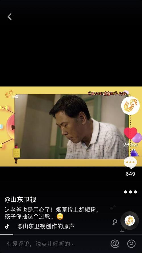 二虎爆料李婷婷视频播放,揭秘背后真相 第3张 二虎爆料李婷婷视频播放,揭秘背后真相 第3张