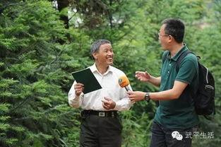 李桂林最新爆料新闻,揭秘事件背后惊人真相 第3张 李桂林最新爆料新闻,揭秘事件背后惊人真相 第3张