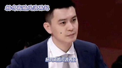 闺蜜爆料 杨鸣视频播放,杨鸣视频引发热议，揭秘背后真相！