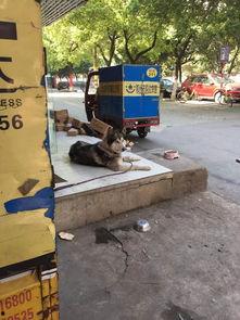 鄂州快递爆料视频,揭秘快递行业背后真相 第3张 鄂州快递爆料视频,揭秘快递行业背后真相 第3张