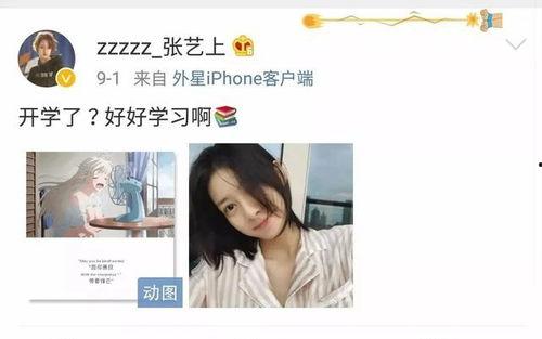 张艺上最新爆料,揭秘娱乐圈幕后真相 第3张 张艺上最新爆料,揭秘娱乐圈幕后真相 第3张