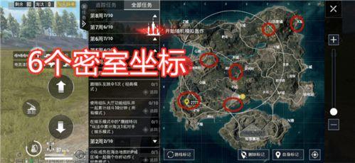 最新爆料地下蚁人,神秘生物的生存智慧与生态奥秘