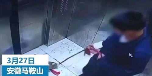 打电话的小男孩爆料视频,揭秘事件背后惊人真相