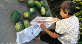 金乡最新大瓜爆料,最新大瓜爆料揭秘惊人内幕 第3张 金乡最新大瓜爆料,最新大瓜爆料揭秘惊人内幕 第3张