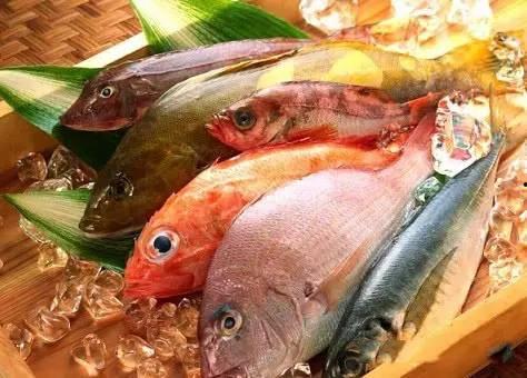 抠鱼鳃吃瓜视频大全免费观看,抠鱼鳃吃瓜视频大全,趣味无限,笑料横生! 第3张 抠鱼鳃吃瓜视频大全免费观看,抠鱼鳃吃瓜视频大全,趣味无限,笑料横生! 第3张