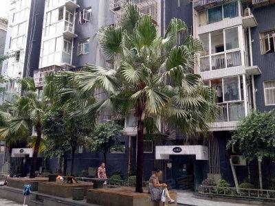 世纪家园爆料事件真相视频,揭秘真相背后的惊人内幕 第2张 世纪家园爆料事件真相视频,揭秘真相背后的惊人内幕 第2张