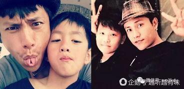 小李儿子爆料视频播放全集  第2张