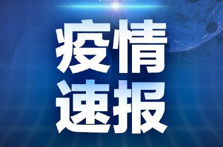 青岛爆料最新新闻头条号,聚焦城市热点事件追踪  第3张