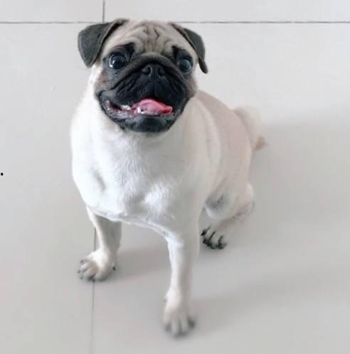 巴哥爆料线索是真的吗视频,视频内容深度分析  第2张