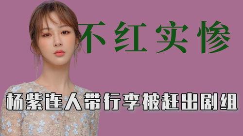 贵圈小爆料最新,贵圈小爆料背后的惊人真相  第3张