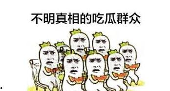 全网免费吃瓜群众,揭秘网络时代的全民娱乐盛宴
