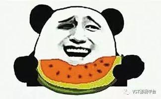 吃瓜宗门在线免费观看