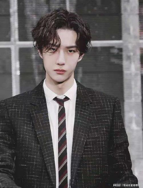 真实爆料王一博视频下载,高清视频下载，一睹明星风采