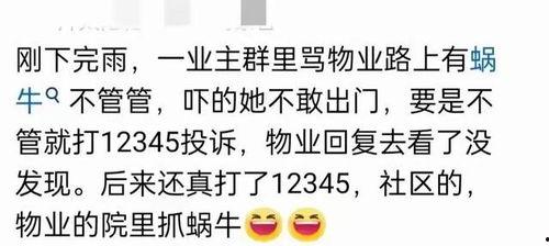 吃瓜免费qq群,畅享娱乐盛宴的秘密通道  第3张