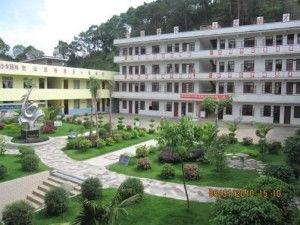 博白县江宁镇抖音最新爆料,揭秘当地独特风情与民生变迁