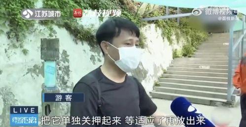 网红霸凌吃瓜男是谁呀,吃瓜群众热议的“霸凌男”究竟是谁？
