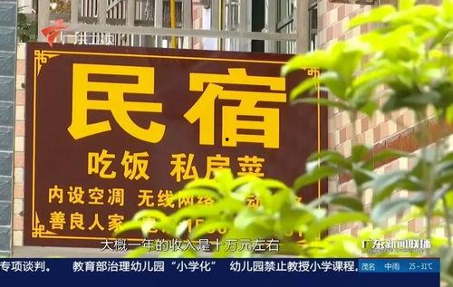 广东最新爆料消息新闻报道,聚焦热点事件深度解析  第2张 广东最新爆料消息新闻报道,聚焦热点事件深度解析  第2张