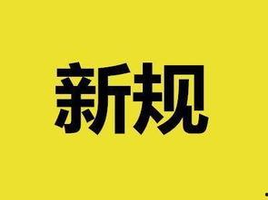 青岛新闻今日爆料,独家爆料揭示重大事件内幕  第3张
