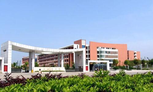 湖南学校爆料视频大全,揭秘校园生活背后的真实故事