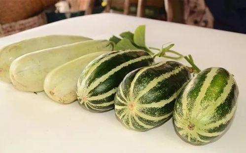 网红免费吃瓜视频,揭秘幕后真相与娱乐效应  第3张