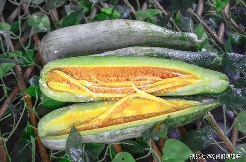 qq网红吃瓜推荐,带你领略娱乐圈幕后风云