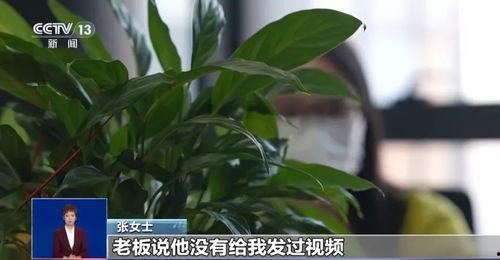 网友爆料竹叶图片真实视频