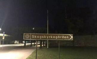 瑞典媒体爆料机密视频,揭秘事件真相