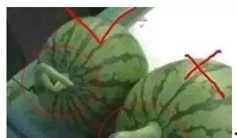 国产网红黑料吃瓜QQ群,QQ群吃瓜背后的真相 第2张 国产网红黑料吃瓜QQ群,QQ群吃瓜背后的真相 第2张