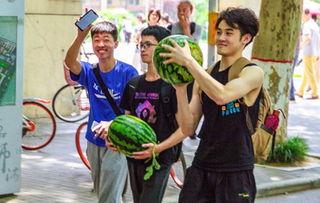 免费吃瓜连接学校,校园里的甜蜜诱惑与知识盛宴 第1张 免费吃瓜连接学校,校园里的甜蜜诱惑与知识盛宴 第1张