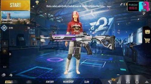 和平精英皮肤爆料最新信息  第2张