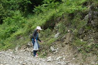 老林直播爆料打野视频,打野英雄幕后操作大揭秘 第3张 老林直播爆料打野视频,打野英雄幕后操作大揭秘 第3张