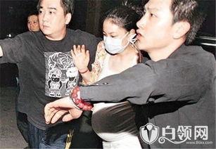 狗仔爆料刘雯视频播放全集  第2张