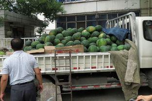 石家庄早市爆料视频播放,视频曝光引网友热议 第1张 石家庄早市爆料视频播放,视频曝光引网友热议 第1张