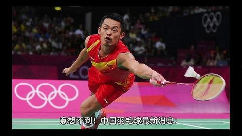 羽毛球最新爆料,神秘选手崛起，赛场风云再起  第1张