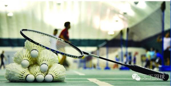 羽毛球最新爆料,神秘选手崛起，赛场风云再起  第3张