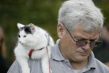 今日动物爆料新闻最新,今日动物爆料新闻揭秘  第1张