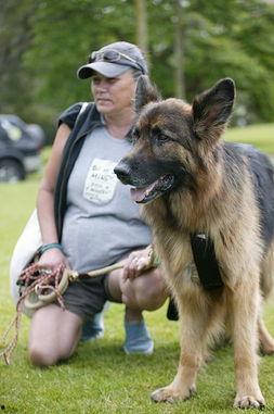 今日动物爆料新闻最新,今日动物爆料新闻揭秘  第2张