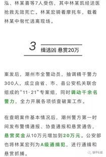 潮州爆料曝光案件最新,最新曝光案件震惊公众，真相即将揭晓！  第2张