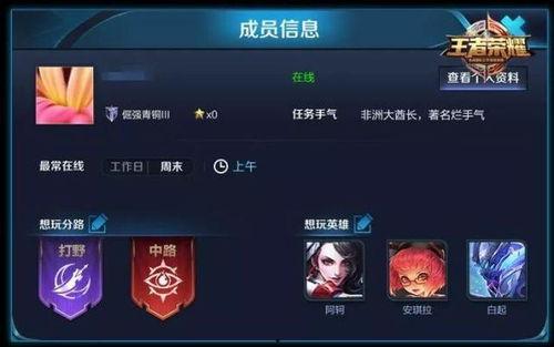 可莉王者爆料最新消息视频,神秘视频揭示游戏最新动态  第2张