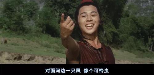 少林小子最新爆料,揭秘幕后故事与精彩瞬间  第1张